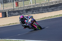 brands-hatch-photographs;brands-no-limits-trackday;cadwell-trackday-photographs;enduro-digital-images;event-digital-images;eventdigitalimages;no-limits-trackdays;peter-wileman-photography;racing-digital-images;trackday-digital-images;trackday-photos